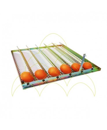 Metallic Tray - 48 Eggs