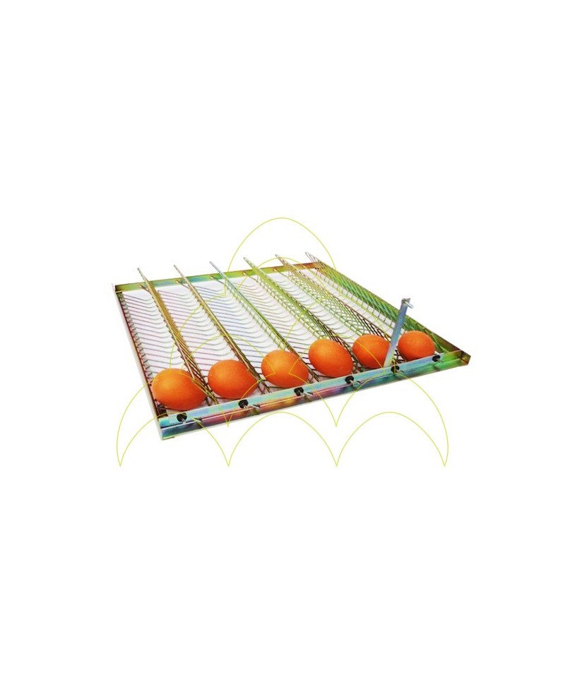 Metallic Tray - 48 Eggs Metallic Tray - 48 Eggs