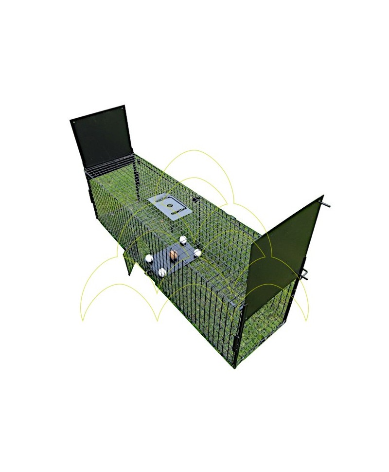 Cage Trap - 2 Entrances - 120cm: Set up with bait