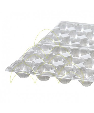 Plastic Packaging Tray - For Quail Eggs: Close-up