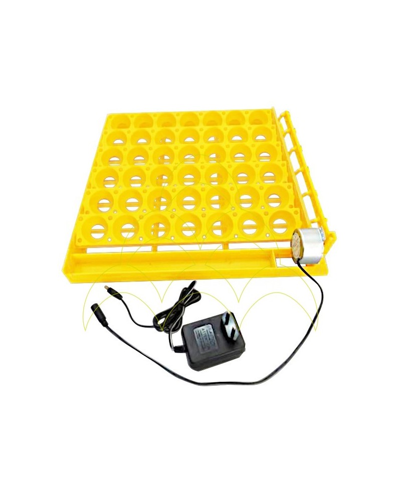 Automatic ECO Tray - For Chickens Automatic ECO Tray - For Chickens