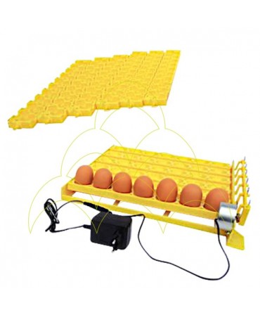 Automatic ECO Tray - For Chickens and Quails