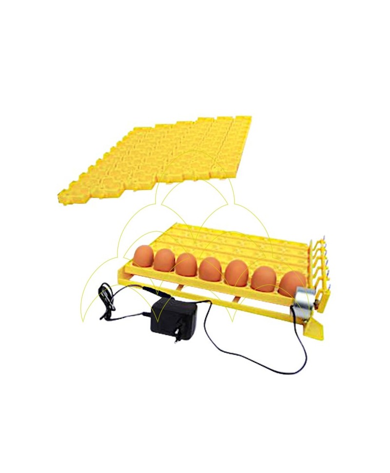 Tabuleiro ECO Automático - Para Galinhas e Codornizes