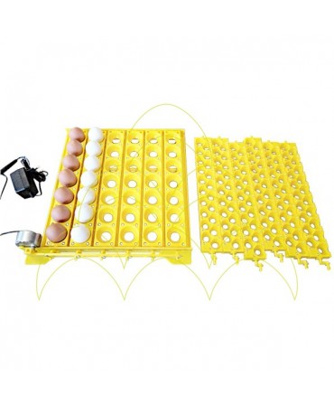 Automatic ECO Tray - For Chickens and Quails