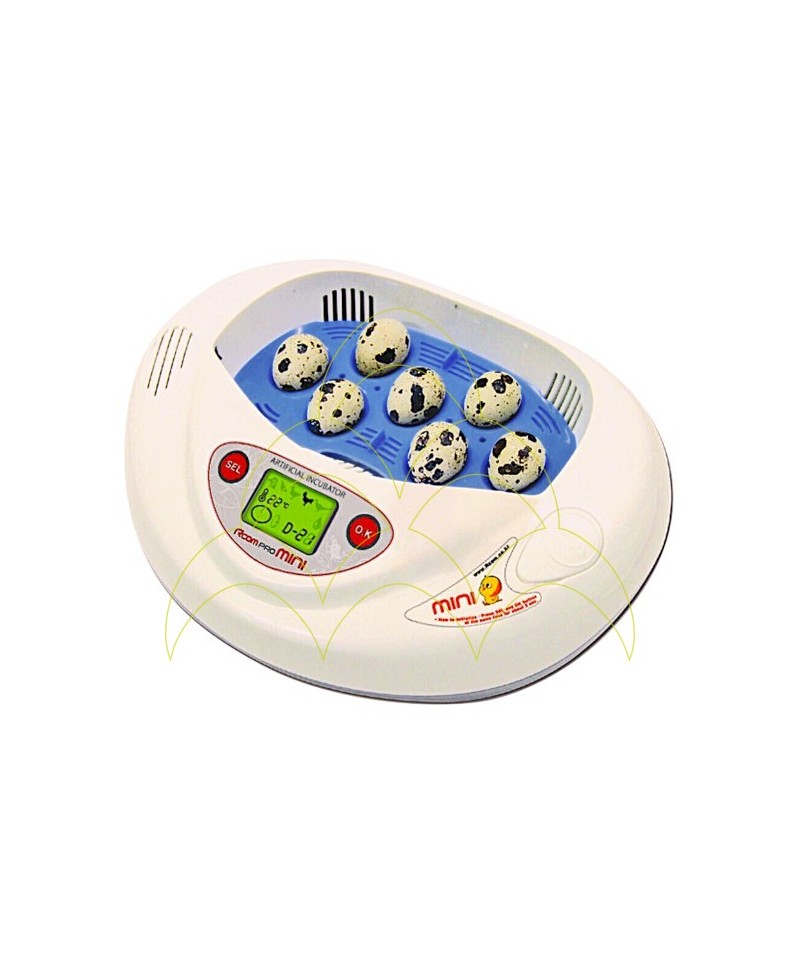 Rcom Pro Mini - With Tray for Quail Eggs: With quail eggs inside Rcom Pro Mini - With Tray for Quail Eggs: With quail eggs inside