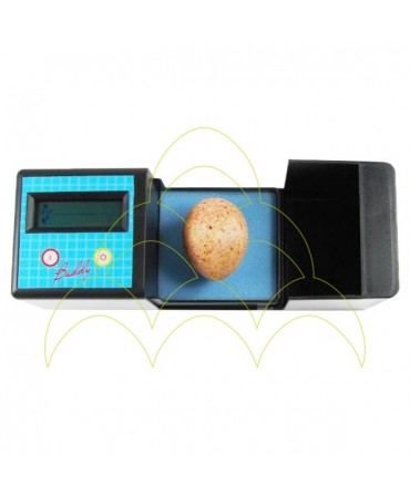 Buddy Egg Mk2 - Digital Egg Monitoring: Top view and with an egg