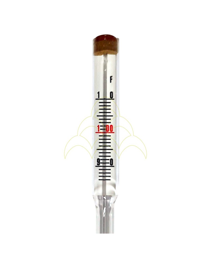 Termómetro Analógico de Precisão FIEM 90-100°F: Pormenor Termómetro Analógico de Precisão FIEM 90-100°F: Pormenor