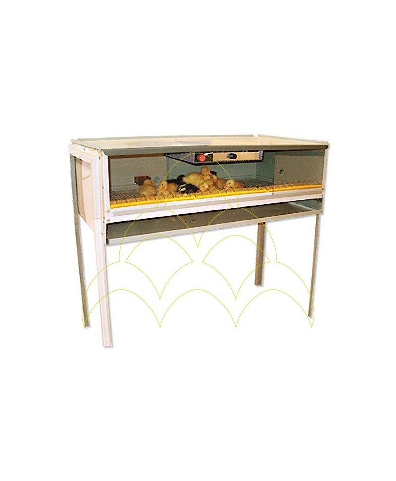 Brooder Maxi Brooder Maxi