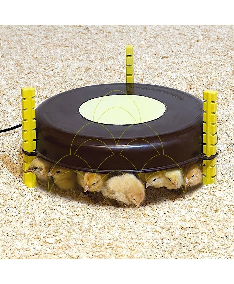 Heating Plate D35: With chicks Heating Plate D35: With chicks