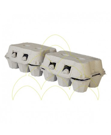 Pack 146un/146 Dozens - Cardboard Packaging Box - 12 Eggs: Closed