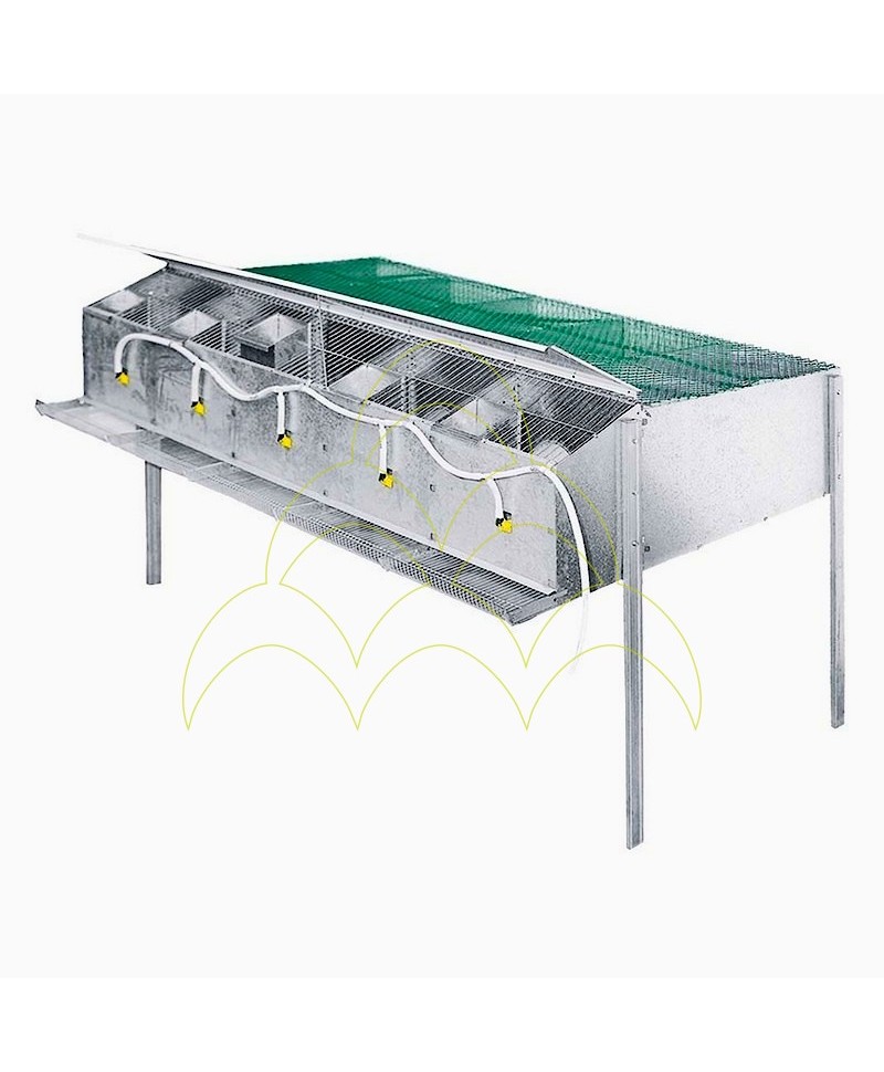 Partridges Breeding Cage Murcia - 5 Compartments
