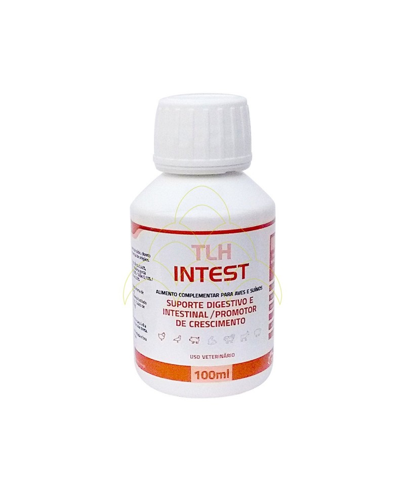 INTEST - Digestive Process Support - 100ml INTEST - Digestive Process Support - 100ml