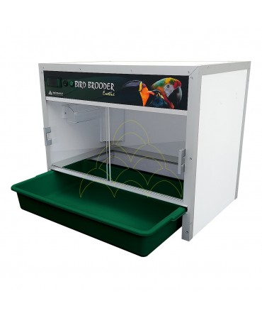 Criadeira Bird Brooder Exotic: Com tabuleiro recuado