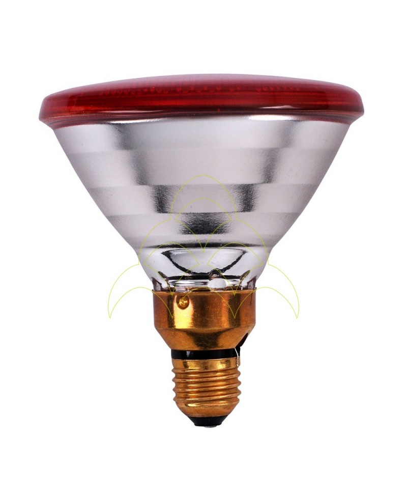 Extra Hard Glass IR Philips Lamp - 100W Extra Hard Glass IR Philips Lamp - 100W