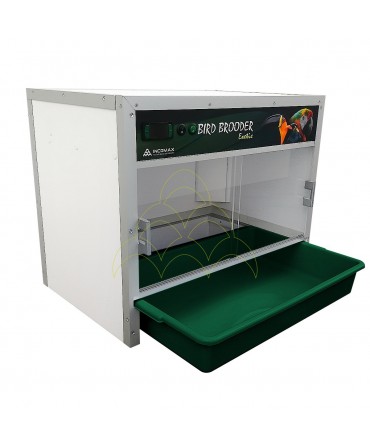 Criadeira Bird Brooder Exotic Ceramic: Com tabuleiro recuado