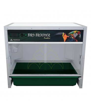 Brooder Bird Brooder Exotic: Front view