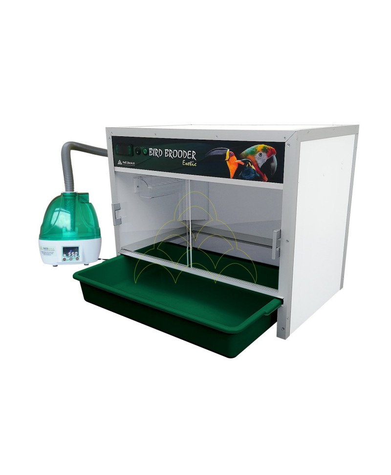 PACK - Brooder Bird Brooder Exotic + Humidifier