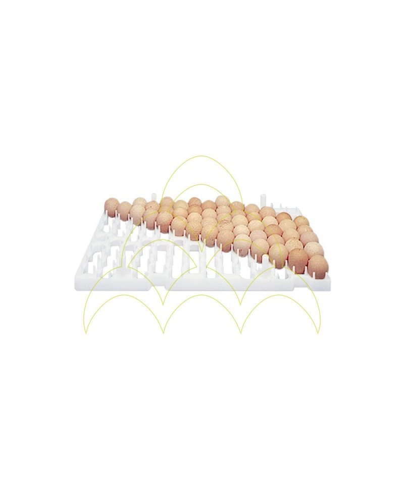 Chicken Tray - FIEM - 72 Eggs Chicken Tray - FIEM - 72 Eggs