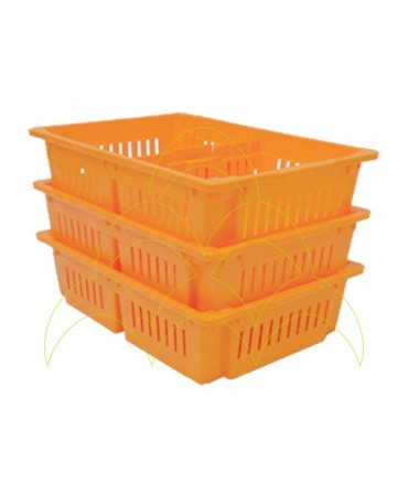 Transport Box For Day-Old Chicks - 2 Compartments - Capacity 100 Chicks: 3 stacked trays Transport Box For Day-Old Chicks - 2 Compartments - Capacity 100 Chicks: 3 stacked trays