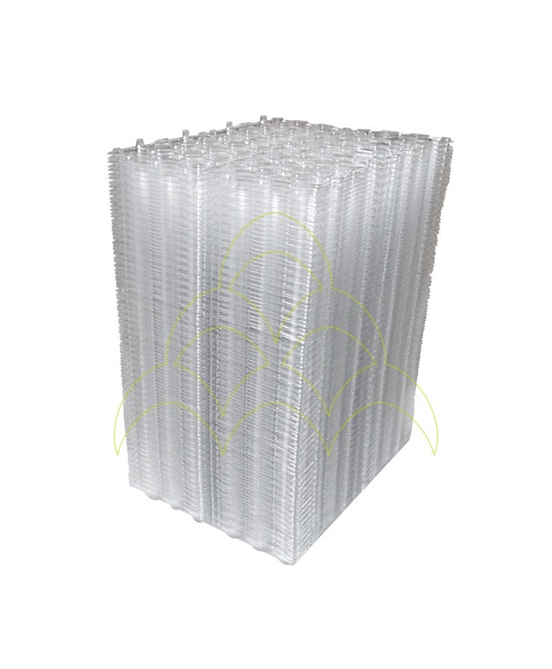 Pack 100un/200 Dozen - Quail Eggs Tray 2x12