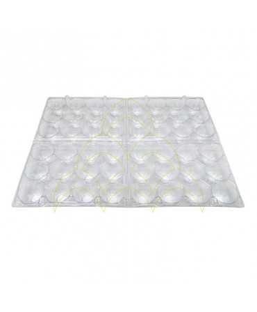 Pack 100un/200 Dozen - Quail Eggs Tray 2x12: Packing opened