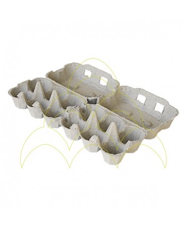 Pack 15un/15 Dozens - Chicken Eggs Box: Open