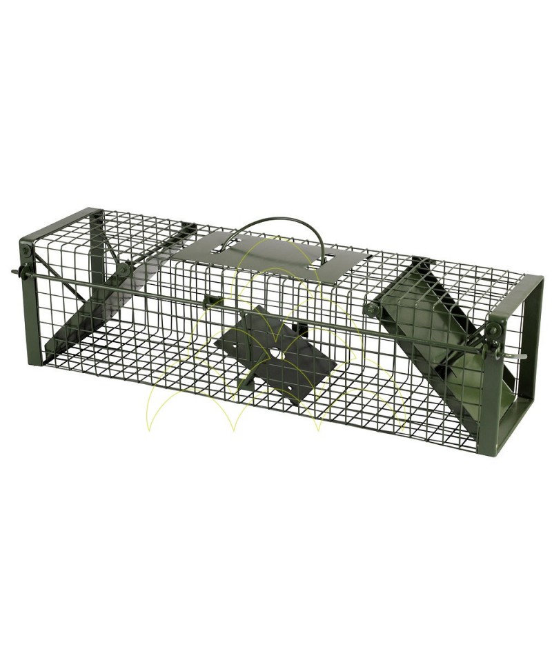 Jaula Armadilha - 2 Entradas - 60cm: Jaula com as portas fechadas e trancadas Jaula Armadilha - 2 Entradas - 60cm: Jaula com as portas fechadas e trancadas