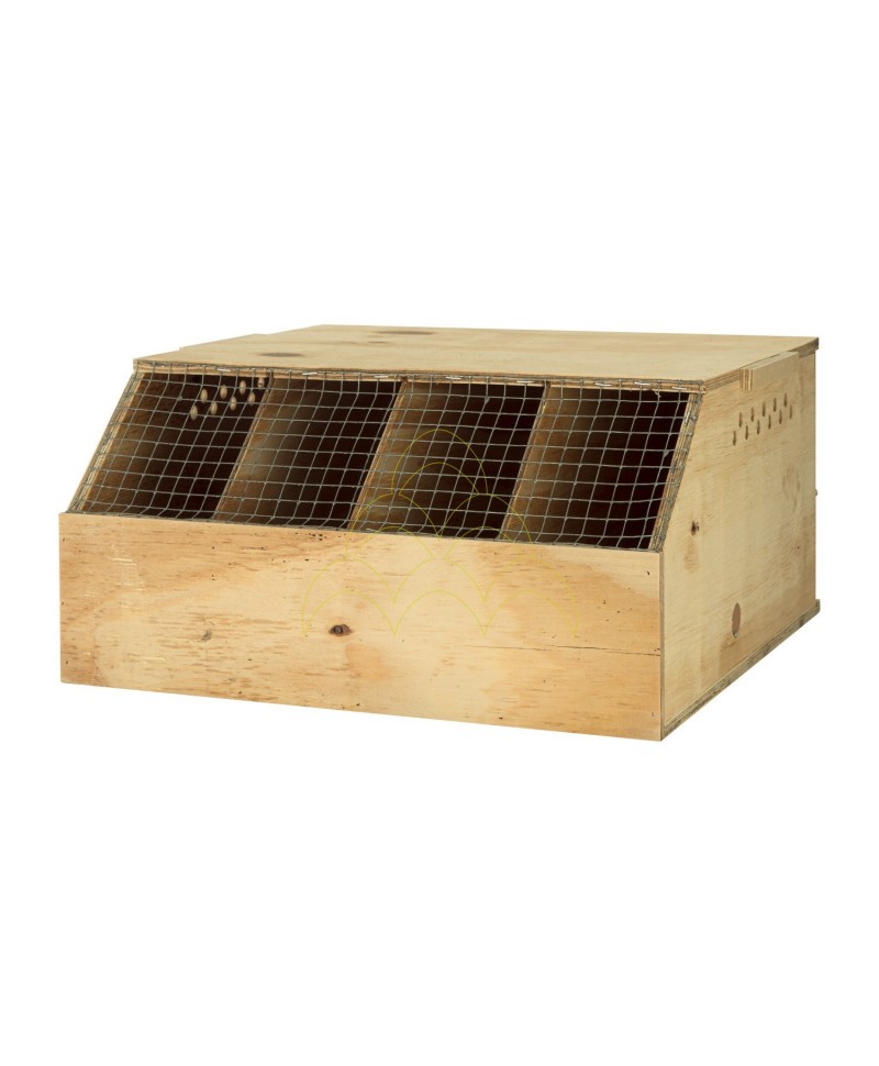 Transport Box - For 4 Birds - 4 Compartments