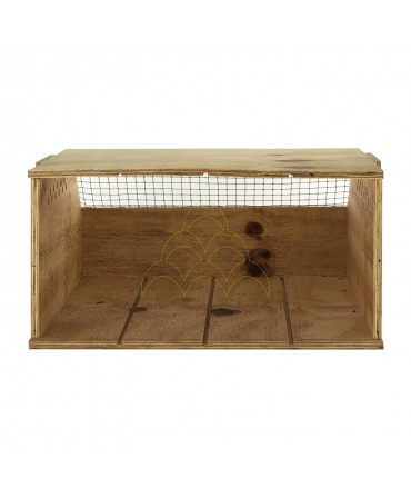Transport Box - For 4 Birds - 4 Compartments: Interior; Without divider and without perch