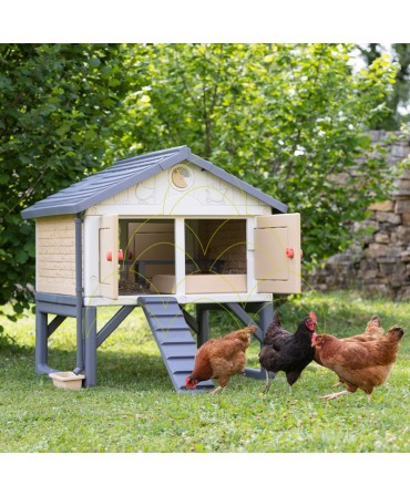 My First Chicken Coop: In nature; with chickens