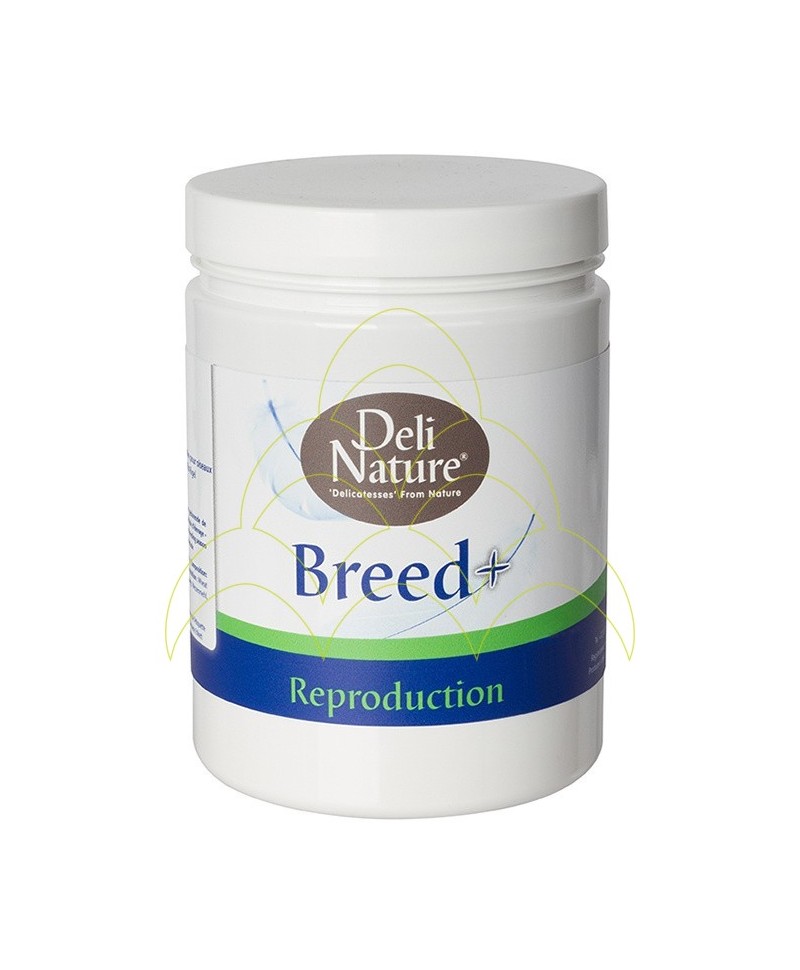 Breed+ 500g - Bird Supplement Breed+ 500g - Bird Supplement