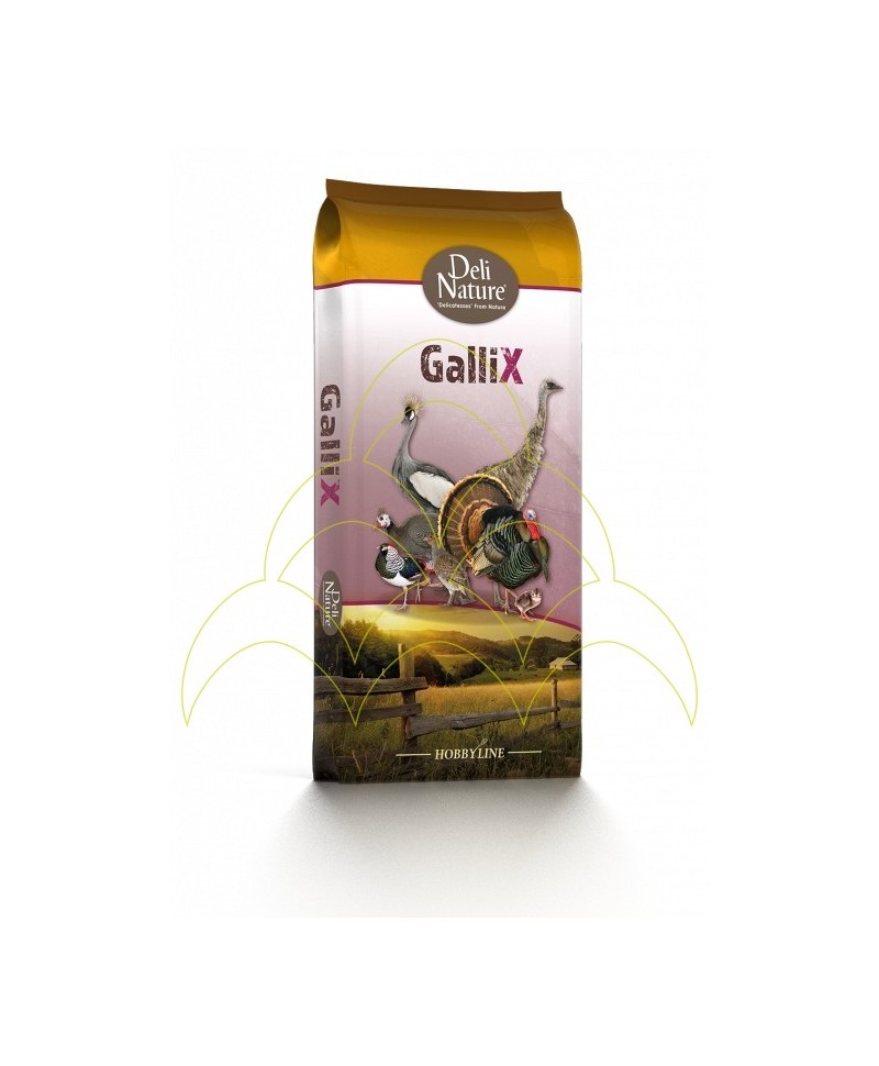 Gallix Ornamental Maintenance Pellet 20kg - Aves Ornamentais - Alimento p/ Animais de Quinta