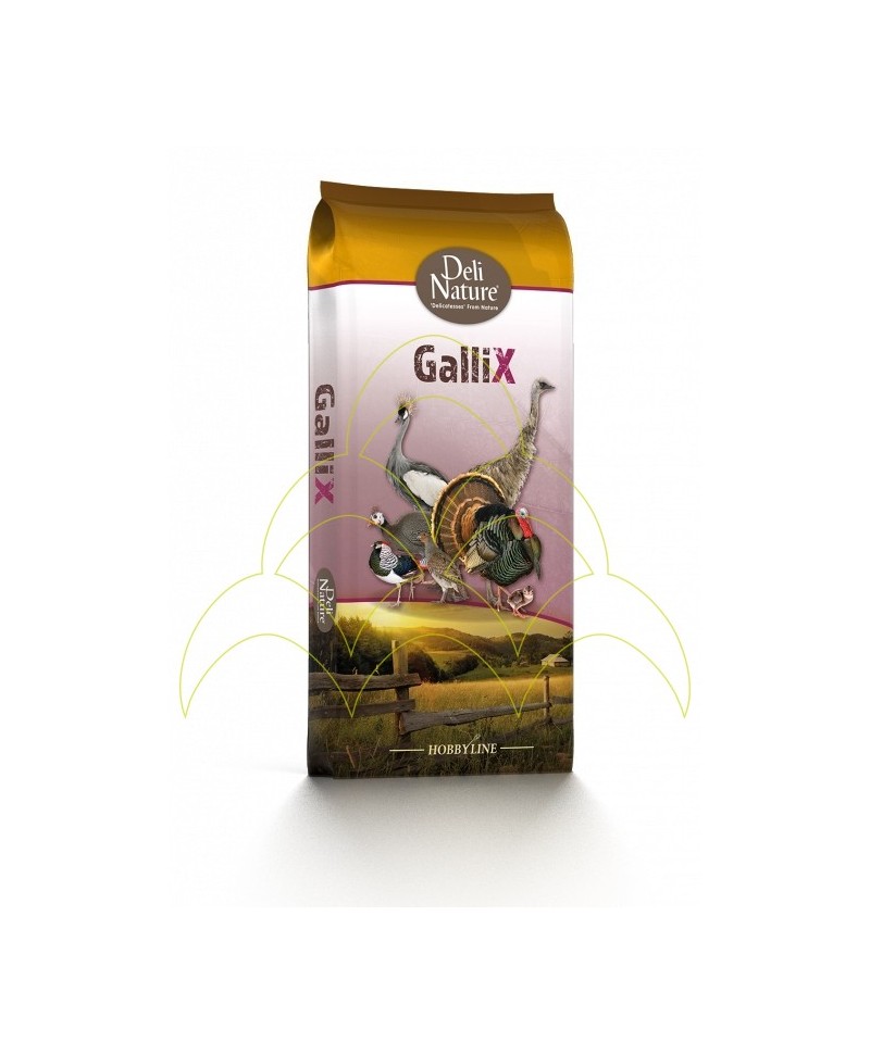 Gallix Ornamental Laying Pellet 20Kg - Aves Ornamentais Poedeiras - Alimento p/ Animais de Quinta Gallix Ornamental Laying Pellet 20Kg - Aves Ornamentais Poedeiras - Alimento p/ Animais de Quinta