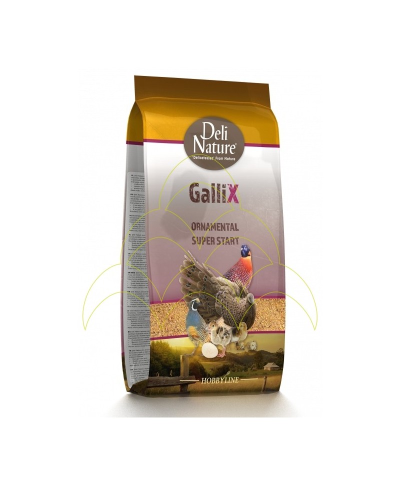 Gallix Ornamental Super Start 4Kg - Mistura Pintos - Alimento p/ Animais de Quinta Gallix Ornamental Super Start 4Kg - Mistura Pintos - Alimento p/ Animais de Quinta