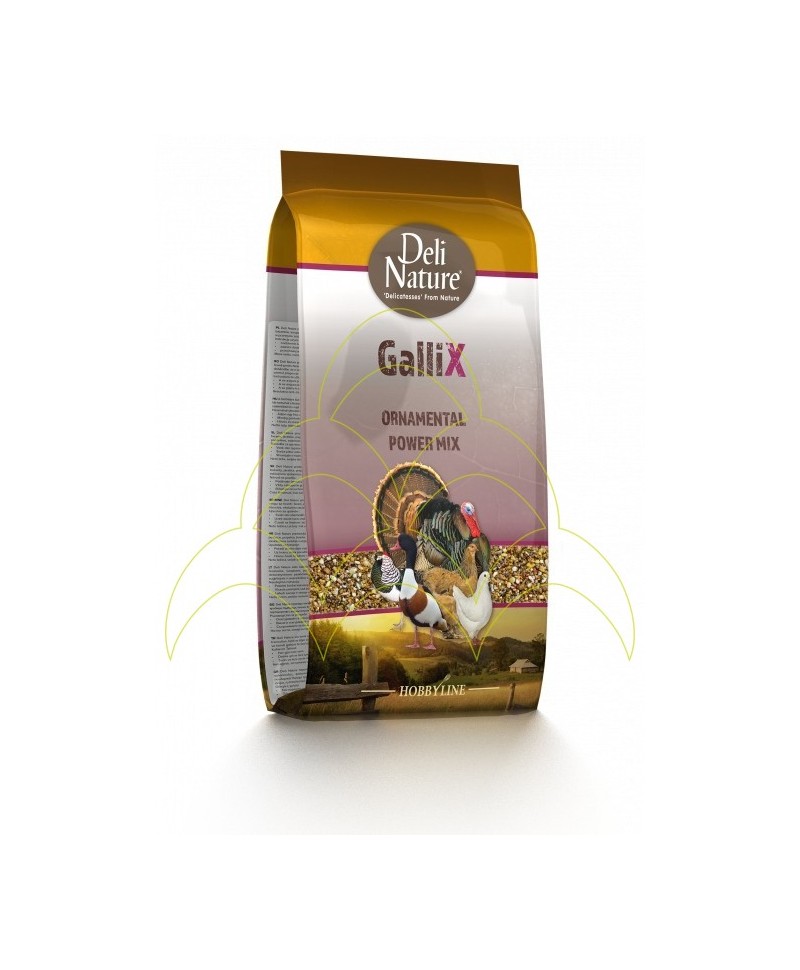 Gallix Ornamental Power Mix 4Kg - Mistura - Alimento p/ Animais de Quinta - Bantams, Raças Grandes, Aves Ornamentais Gallix Ornamental Power Mix 4Kg - Mistura - Alimento p/ Animais de Quinta - Bantams, Raças Grandes, Aves Ornamentais
