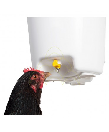 Automatic Hanging Drinker - 12L - With 3 Nipples: With chicken drinking