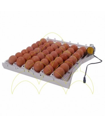 Automatic Turning Tray - 42 Eggs - Chicken