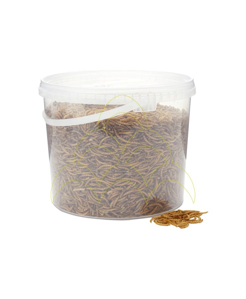 Chix Mealworms 1 Kg - Farmyard Animal Supplement Chix Mealworms 1 Kg - Farmyard Animal Supplement