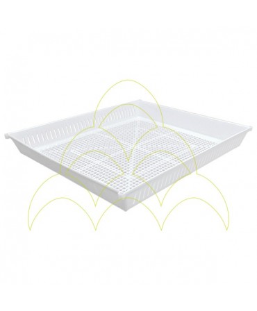 Rcom Maru Max 190 Deluxe: Universal egg tray