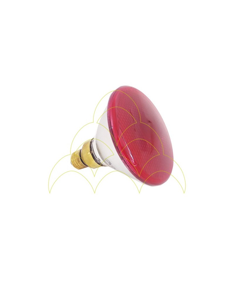 Extra Hard Glass IR Lamp - 150W Extra Hard Glass IR Lamp - 150W