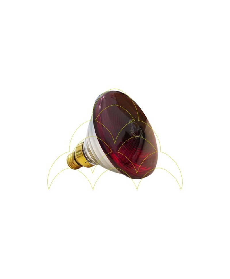 Hard Glass IR Lamp - 100W Hard Glass IR Lamp - 100W