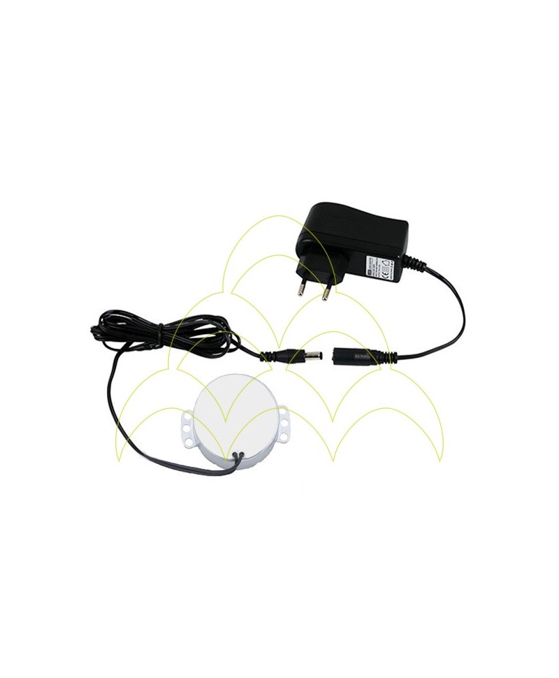 Motor - For Turning With Transformer Motor - For Turning With Transformer