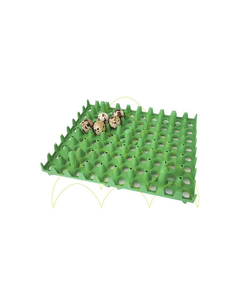 Tray - 80 Eggs - For Quail: With 5 quail eggs Tray - 80 Eggs - For Quail: With 5 quail eggs