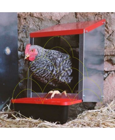 Ninho galvanizado com bandeja em plástico 1 divisória - interior: Ninho apoiado no chão com uma galinha no interior Ninho galvanizado com bandeja em plástico 1 divisória - interior: Ninho apoiado no chão com uma galinha no interior